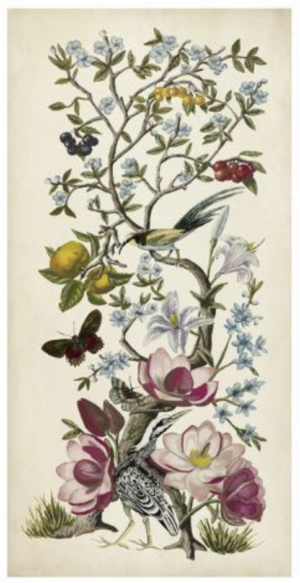 CHINOISERIE NATURA II BY NAOMI MCCAVITT