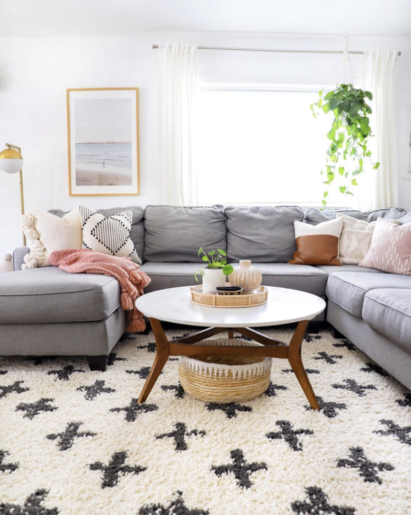 Shag Plus Rug Look for Less - State of Steals